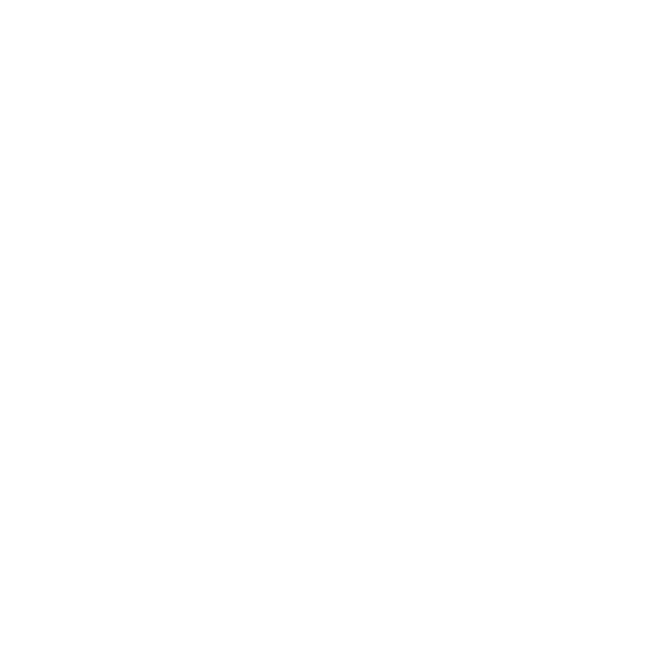 BSARCHI